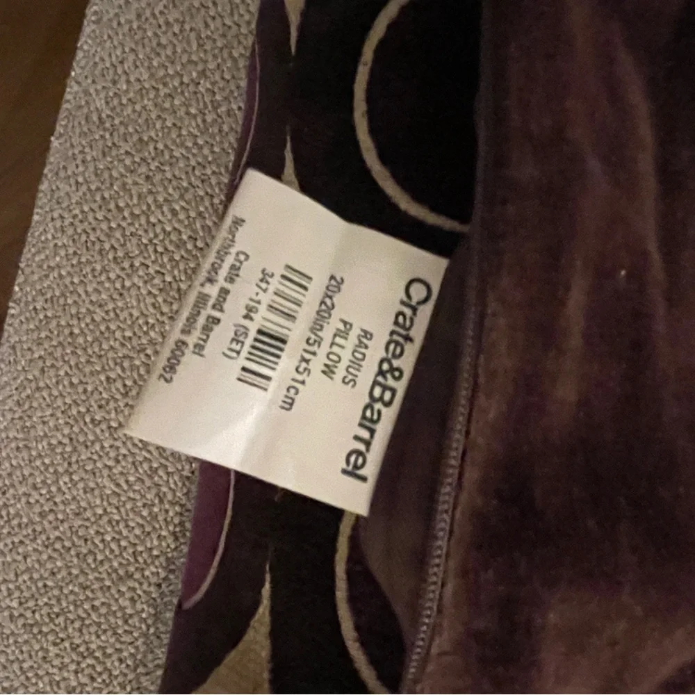Crate&Barrel Pillow Case (with Pillow)